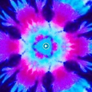 Meet your Posher, Amelia